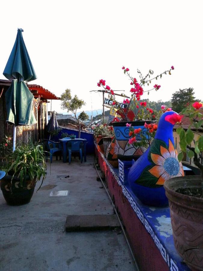 San Cristóbal de Las Casas Casa Lothuz Spacio Cultural Y Disidente מראה חיצוני תמונה