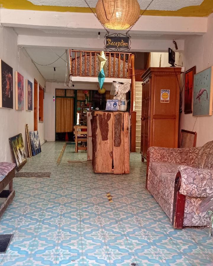 San Cristóbal de Las Casas Casa Lothuz Spacio Cultural Y Disidente מראה חיצוני תמונה