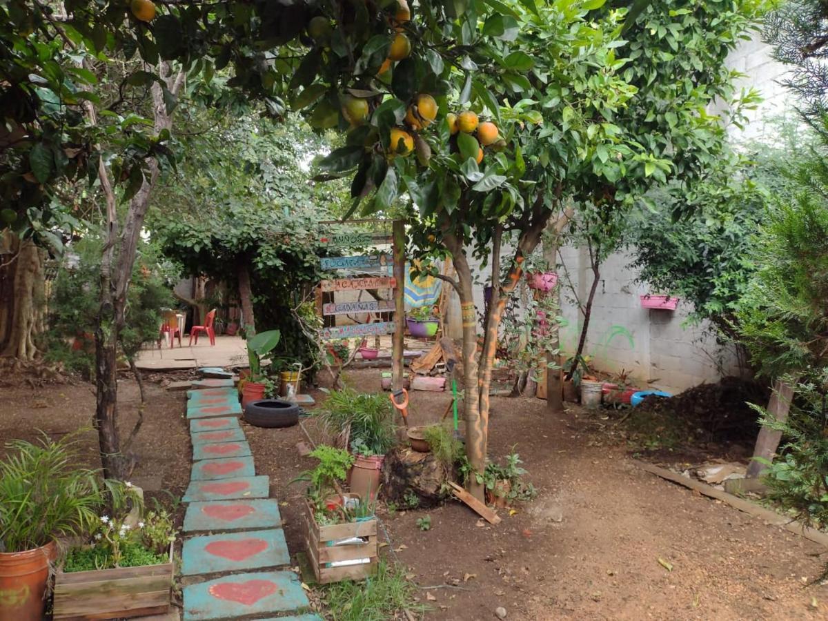 San Cristóbal de Las Casas Casa Lothuz Spacio Cultural Y Disidente מראה חיצוני תמונה